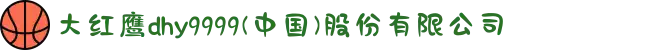大红鹰dhy9999(中国)股份有限公司